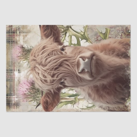 Koe Highland Scotland Thistle Waterverf Tissuepapier (Voorkant)