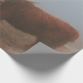 Koe HOOGSTE VANGST Cadeaupapier (Hoek)