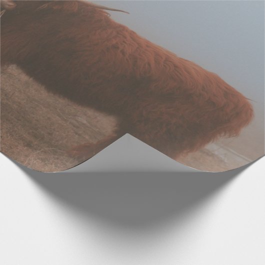 Koe HOOGSTE VANGST Cadeaupapier (Hoek)