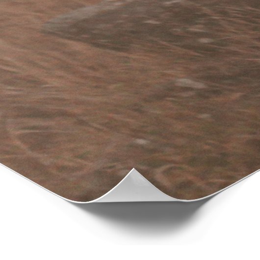 Koe HOOGSTE VANGST Poster (Hoek)