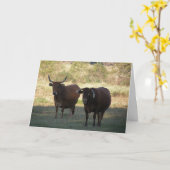 koe Horns - Get Well Kaart (Gele Bloem)