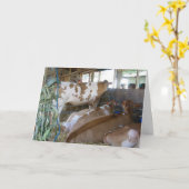 koe HUMOR 50E VERJAARDAG KAART (Gele Bloem)