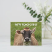 Koe Humor Briefkaart verplaatsen (Staand voorkant)