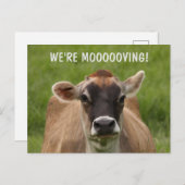 Koe Humor Briefkaart verplaatsen (Voorkant / Achterkant)