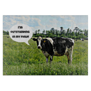 Koe Humor: "Ik ben uitstekend in mijn veld." Snijplank