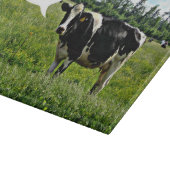 Koe Humor: "Ik ben uitstekend in mijn veld." Snijplank (Hoek)