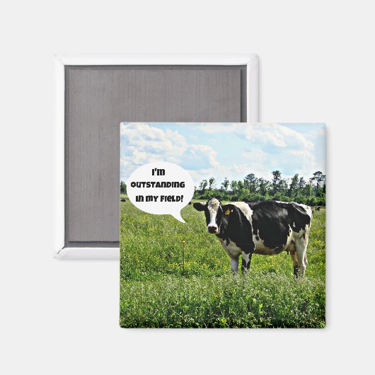 Koe Humor Magneet (Voorkant / Achterkant)