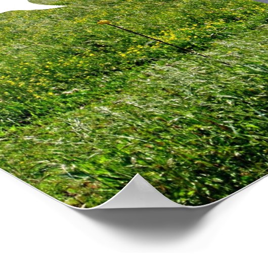 Koe Humor Poster (Hoek)