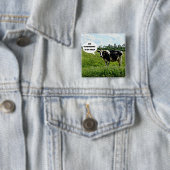 Koe Humor Vierkante Button 5,1 Cm (In situ)