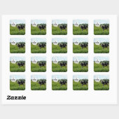 Koe Humor Vierkante Sticker (Vel)