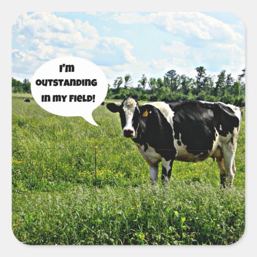 Koe Humor Vierkante Sticker (Voorkant)