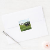 Koe Humor Vierkante Sticker (Envelop)