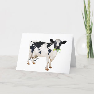 Koe in contanten kaart
