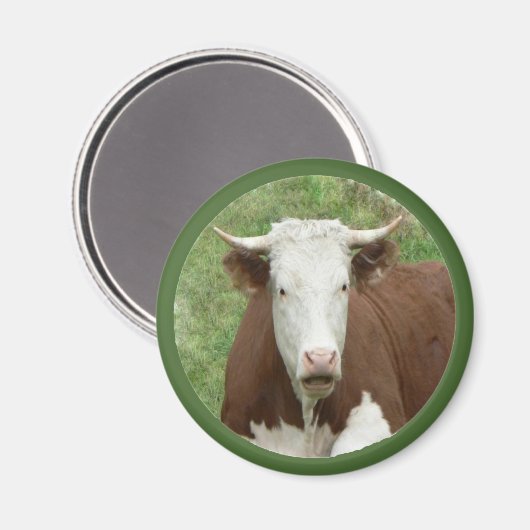Koe in de Grass Cameo Magnet (Voorkant / Achterkant)