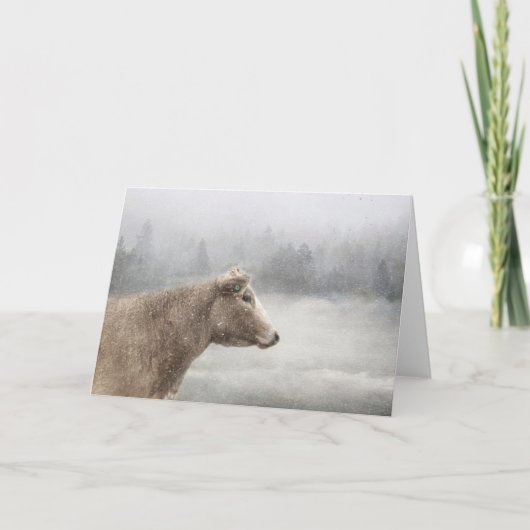 Koe in de slagsneeuw kaart (Voorkant)