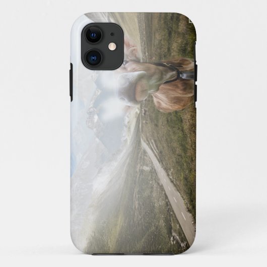 Koe in de vallei - iPhone 5 hoes (Achterkant)