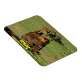 Koe in een groenweide magneet (Rechterzijde)