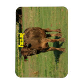 Koe in een groenweide magneet (Verticaal)