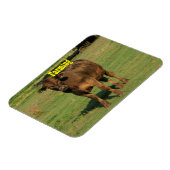 Koe in een groenweide magneet (Linkerzijde)