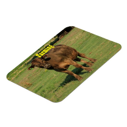 Koe in een groenweide magneet (Linkerzijde)