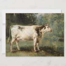 Koe in een landschap (Boerderij Dier)