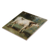 Koe in een landschap (Boerderij Dier) Tegeltje (Zijkant)