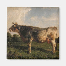 Koe in een veld (boerderijdier) (door Filippo Pali