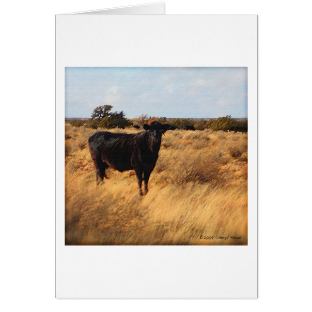 Koe in het bereik (Voorkant)