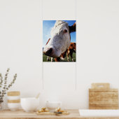 Koe in het veld, close-up poster (Keuken)