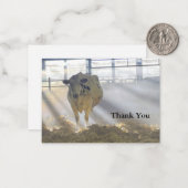 Koe in Mist Dankjewel Kaart Notitiekaartje (Voorkant / Achterkant in situ)