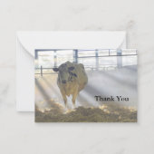 Koe in Mist Dankjewel Kaart Notitiekaartje (Voorkant)