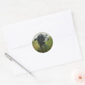 Koe in Pasture Sticker (Envelop)