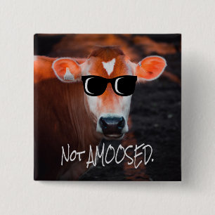 Koe in zonnebril Niet GEAMUSEERD Grappig Schattig Vierkante Button 5,1 Cm