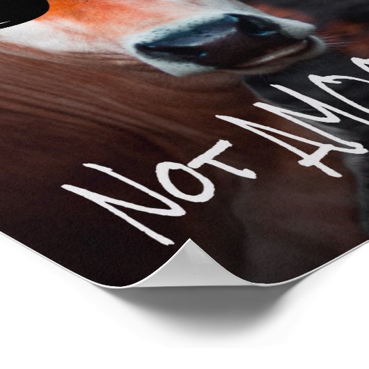 Koe in zonnebrillen geen 'MOOsed Cute Funny' Poster (Hoek)