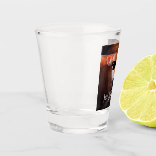 Koe in zonnebrillen geen 'MOOsed Cute Funny' Shot Glas (Links)