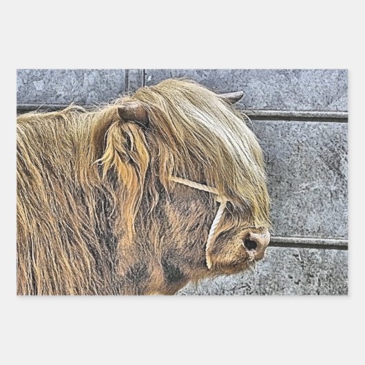 KOE INPAKPAPIER VEL (Voorkant 2)