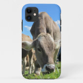 Koe iPhone 5 hoesje grazing (Achterkant)