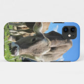 Koe iPhone 5 hoesje grazing (Achterkant (horizontaal))