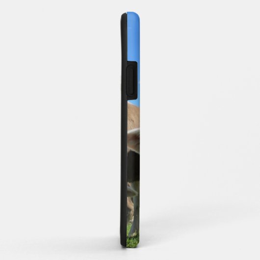 Koe iPhone 5 hoesje grazing (Achterkant/rechts)