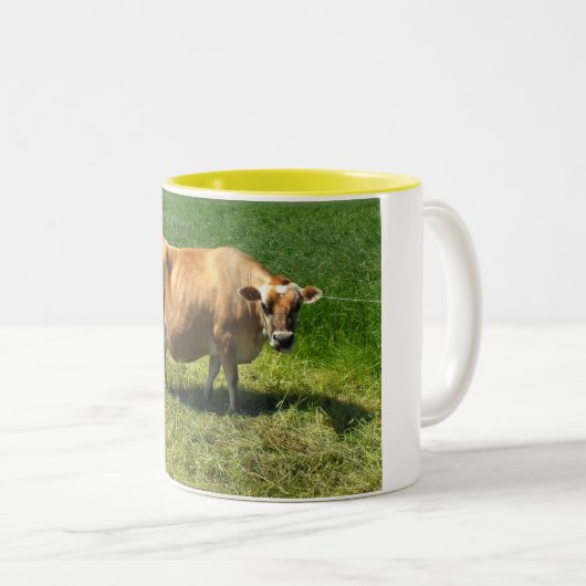 Koe Jersey op de Kanaaleilanden Tweekleurige Koffiemok (Voorkant rechts)