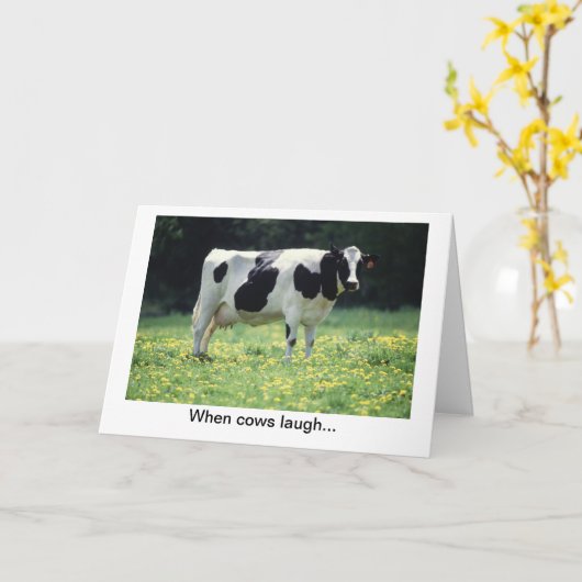 Koe Jokes Kaart (Gele Bloem)