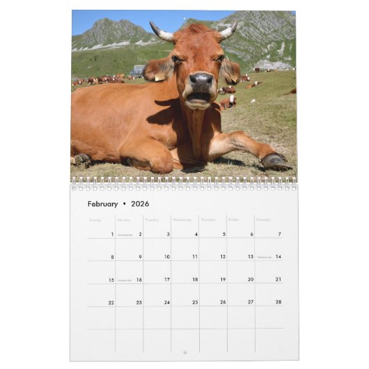 Koe-kalender Kalender (Feb 2026)