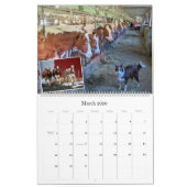 Koe Kalender van Chase's Organic Dairy (Mar 2026)