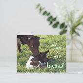 Koe & kalf Briefkaart/uitnodiging-aanpassen Uitnodiging Briefkaart (Staand voorkant)