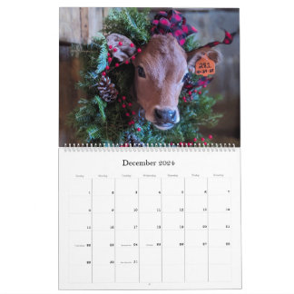 Koe & Kalfskalender van Chase's Organic Dairy Kalender