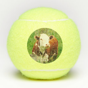 Koe kippenboerderijdieren 4Robin Tennisballen
