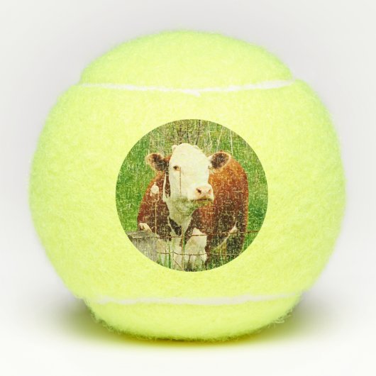 Koe kippenboerderijdieren 4Robin Tennisballen (Voorkant)