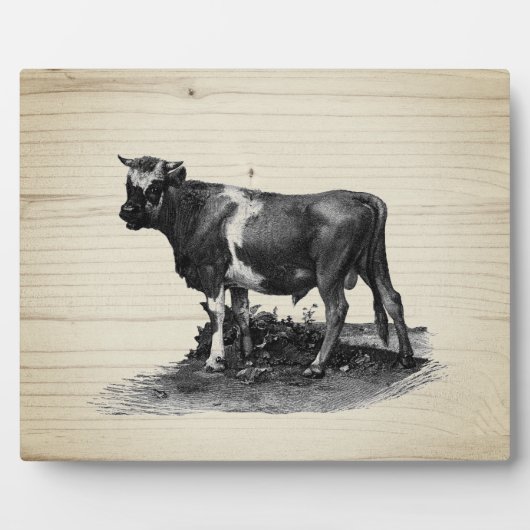  Koe labletop Fotoplaat (Voorkant)