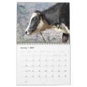 Koe landbouwhuisdieren kalender (Jan 2027)