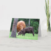 Koe Lick Moederdag Kaart (Voorkant)